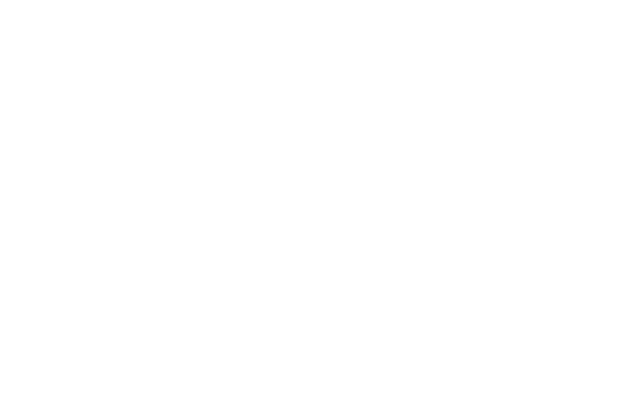 Institute of Leadership